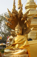 Obraz premium Side of sitting Thai Buddha with Naga statue that wear golden clothes.