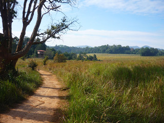 Landscape of Khao Yai national park, Thailand