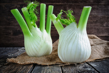 Fresh organic fennel bulbs