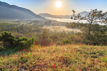 Cubucak camping area between Marmaris and Datca among pine trees with mist