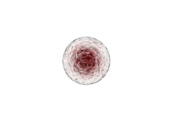 Stem Cells Immunotherapy 