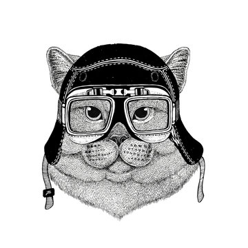 Vintage images of Cat for t-shirt design for motorcycle, bike, motorbike, scooter club, aero club