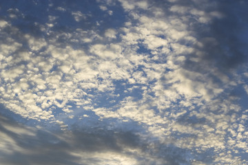 Blue sky in warm evening light covered with fleecy clouds