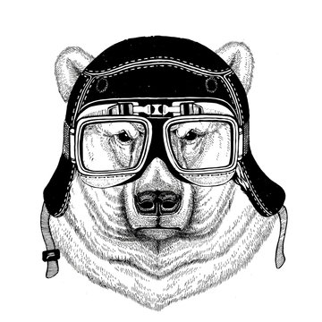 Vintage images of DOG for t-shirt design for motorcycle, bike, motorbike, scooter club, aero club