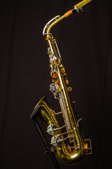 Obraz premium The left side of an alto sax