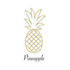 Gold Pineapple fruit. Vector illustration.