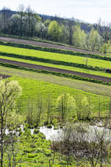 Fototapeta na wymiar geometric private agricultural fields near lakes