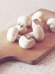Bunch of mushrooms on kitchen countertop