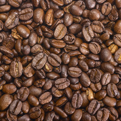 coffee beans closeup
