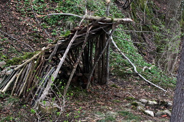 Survival Camp