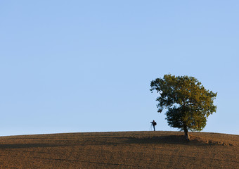 Photographer on the hill