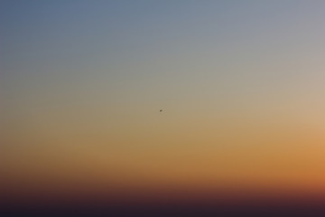 Beautiful view with an ocean in sunset and bird fly in blue sky