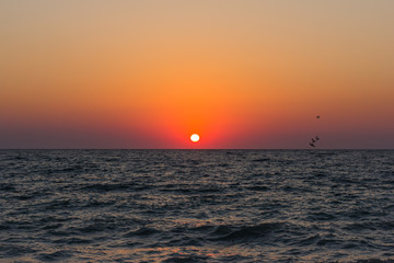 Beautiful view with an ocean in sunset and bird fly in blue sky