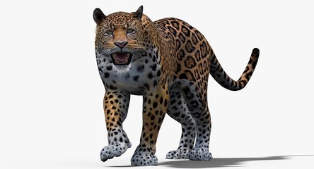 Jaguar (3D) © ANDRANIK