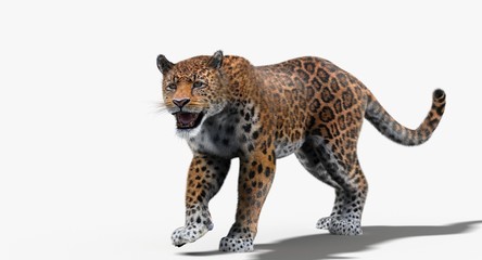 Jaguar (3D)