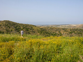Man walks out on sunny flowering meadow of mountain valley. Cyprus.
