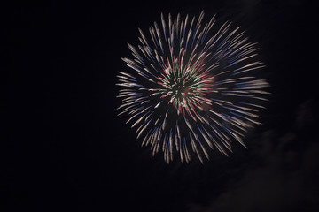 Fireworks light up the sky with dazzling display