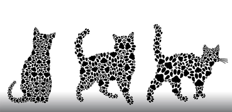 Set of silhouettes of cats from the cat tracks
