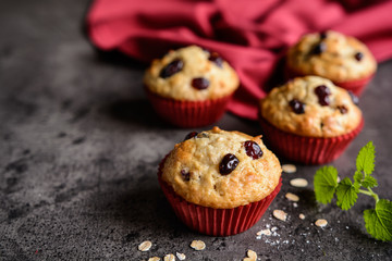 Nutritious oatmeal muffins with cranberries