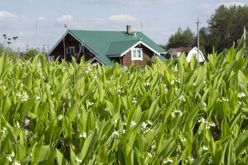The country house and lilies of the valley