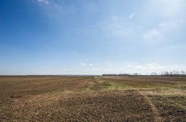 Fototapeta na wymiar Ploughed field in spring prepared for sowing