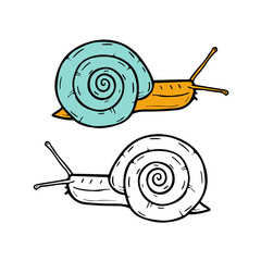 Hand drawn snails. Vector illustration.
