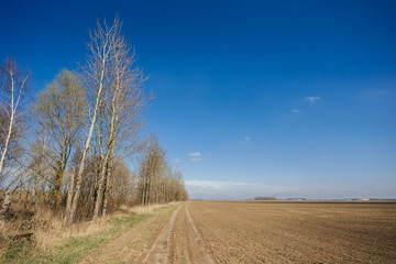 Ploughed field in spring prepared for sowing