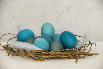 Easter eggs dyed into various shades of blue and turquoise in an egg paper container on a white background with blue feather 