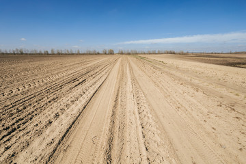 Fototapeta premium Ploughed field in spring prepared for sowing
