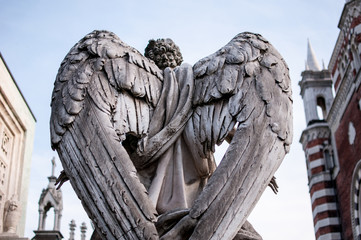 angel statue with wings in a cemetery