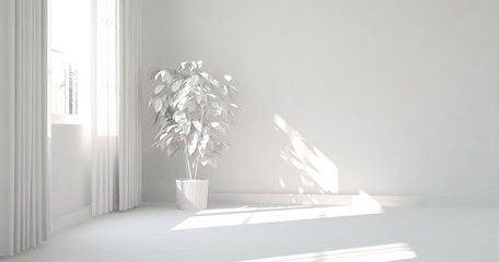 White room with flower. Scandinavian interior design. 3D illustration