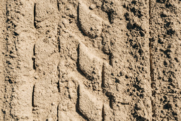 Wheel tracks on dirt.