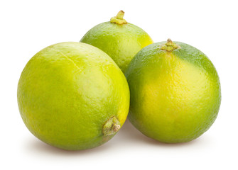 lime