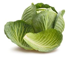 Fototapeta premium cabbage leaves