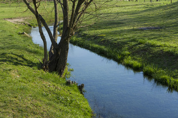 Small spring in a green field