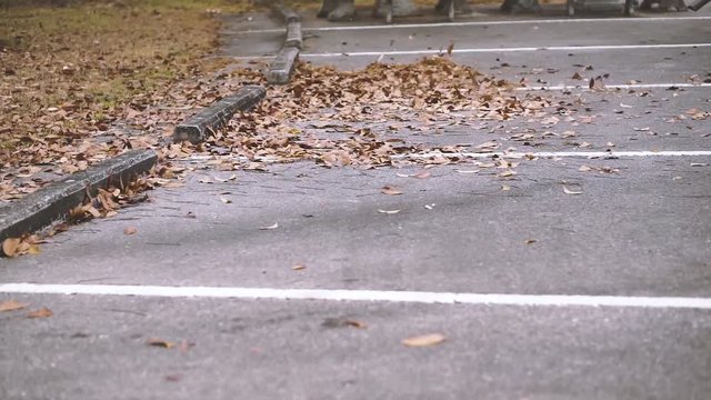 Cleaning Autumn leaves in autumn park by blower machine