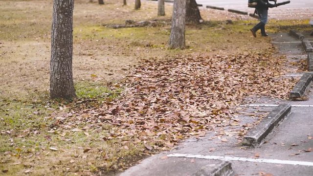 Cleaning Autumn leaves in autumn park by blower machine