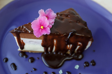 Cheesecake with chocolate. Delicious cake on the plate with flower decoration