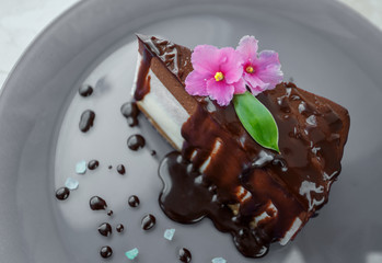 Cheesecake with chocolate. Delicious cake on the plate with flower decoration