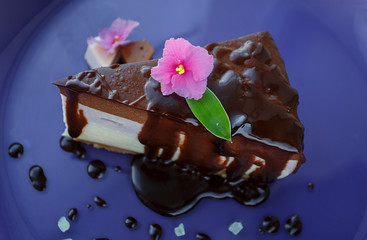Cheesecake with chocolate. Delicious cake on the plate with flower decoration