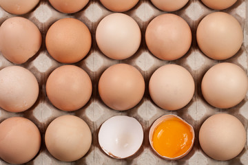 Eggs in the tray as a background. Top view