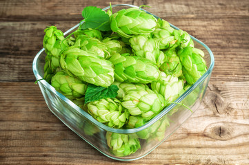 lush and green hops