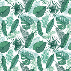 Hand drawn vector background - Palm leaves (monstera, areca palm, fan palm, banana leaves). Tropical seamless pattern. Perfect for prints, posters, invitations etc