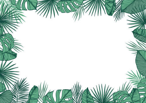 Hand drawn vector illustration - frame with Palm leaves and aloha lettering. Tropical design elements. Perfect for prints, posters, invitations etc