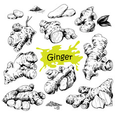 Hand drawn ginger set