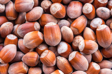 ripe hazelnuts texture