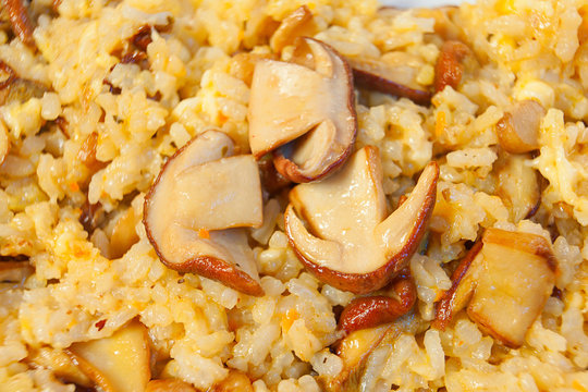  hot risotto with mushrooms on white plate on white background