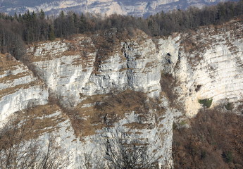 cliff with rock and forest in the mountains in winter