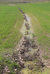 Fototapeta na wymiar ditch full of water fields because the ground does not absorb mo