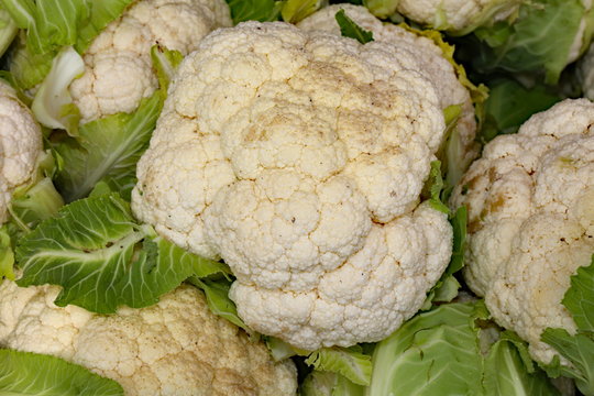 large white cauliflower on sale in the grocery stall in winter